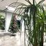 334 m² Office for rent in Azcapotzalco, Mexico City, Azcapotzalco