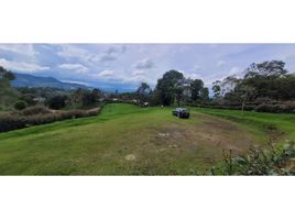  Land for sale in La Ceja, Antioquia, La Ceja