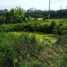  Terrain for sale in Damansara, Petaling, Damansara