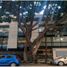 306 m² Office for rent in Azcapotzalco, Mexico City, Azcapotzalco