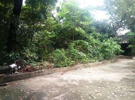  Land for sale in San Juan City, Eastern District, San Juan City