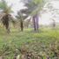  Land for sale in Alto Boquete, Boquete, Alto Boquete