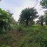  Land for sale in Alto Boquete, Boquete, Alto Boquete