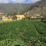  Terreno (Parcela) en venta en Chia, Cundinamarca, Chia