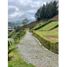 Terrain à vendre à Guarne, Antioquia, Guarne