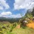 Terrain à vendre à Guarne, Antioquia, Guarne