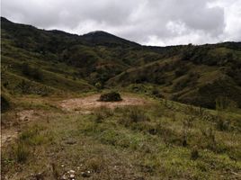  Terreno (Parcela) en venta en Retiro, Antioquia, Retiro