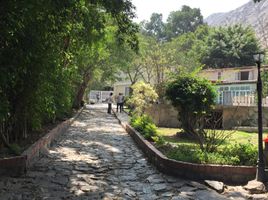  Terreno (Parcela) en venta en Lima, La Molina, Lima, Lima