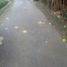  Terreno (Parcela) en venta en Gamping, Yogyakarta, Gamping, Sleman