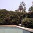 Cuernavaca, 모렐 로스PropertyTypeNameBedroom, Cuernavaca
