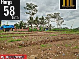  Land for sale in Kepanjen, Malang Regency, Kepanjen