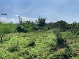  Land for sale in Pililla, Rizal, Pililla