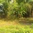  Terreno (Parcela) en venta en Depok, Yogyakarta, Depok
