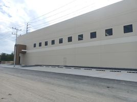 Studio Haus zu vermieten in Guadalupe, Nuevo Leon, Guadalupe