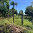  Land for sale in Misiones, Capital, Misiones