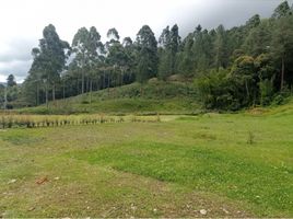  Grundstück zu verkaufen in Rionegro, Antioquia, Rionegro, Antioquia