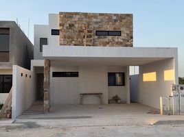 Maison 3 chambre à vendre à Conkal, Yucatan, Conkal