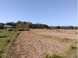  Terrain for sale in Bacnotan, La Union, Bacnotan