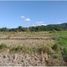  Land for sale in Bacnotan, La Union, Bacnotan