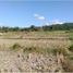  Land for sale in Bacnotan, La Union, Bacnotan