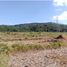  Land for sale in La Union, Ilocos, Bacnotan, La Union