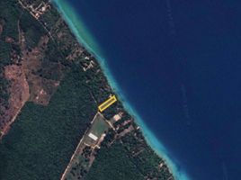  Grundstück zu verkaufen in Othon P Blanco, Quintana Roo, Othon P Blanco