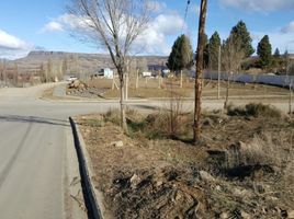  Land for sale in Alumine, Neuquen, Alumine