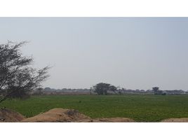  Terreno (Parcela) en venta en Lambayeque, Lambayeque, Lambayeque, Lambayeque