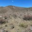  Terreno (Parcela) en venta en Lujan De Cuyo, Mendoza, Lujan De Cuyo