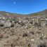  Terreno (Parcela) en venta en Lujan De Cuyo, Mendoza, Lujan De Cuyo
