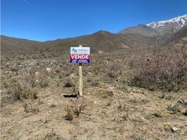  Terreno (Parcela) en venta en Lujan De Cuyo, Mendoza, Lujan De Cuyo