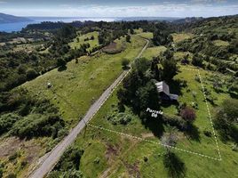  Land for sale in Chile, Entre Lagos, Osorno, Los Lagos, Chile