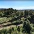  Land for sale in Chile, Entre Lagos, Osorno, Los Lagos, Chile