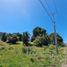  Land for sale in Chile, Entre Lagos, Osorno, Los Lagos, Chile