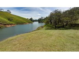  Terreno (Parcela) en venta en Penol, Antioquia, Penol
