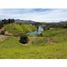  Terreno (Parcela) en venta en Penol, Antioquia, Penol