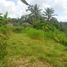  Land for sale in Ubud, Gianyar, Ubud