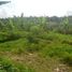  Land for sale in Ubud, Gianyar, Ubud