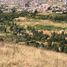  Land for sale in Oicata, Boyaca, Oicata