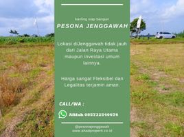  Land for sale in Jenggawah, Jember, Jenggawah