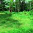  Land for sale in Selemadeg, Tabanan, Selemadeg