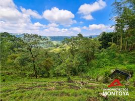 4 Habitación Casa en venta en Santa Rosa De Cabal, Risaralda, Santa Rosa De Cabal