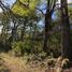  Terreno (Parcela) en venta en Araucanía, Lonquimay, Malleco, Araucanía