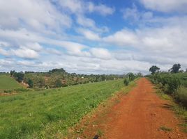  Land for sale in Phu My, Ba Ria-Vung Tau, Phu My, Phu My