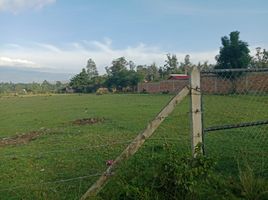  Terreno (Parcela) en venta en Villa De Leyva, Boyaca, Villa De Leyva