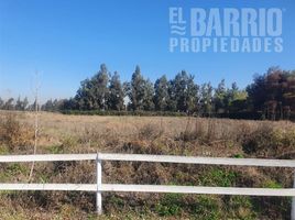  Terreno (Parcela) en alquiler en Colina, Chacabuco, Colina