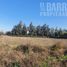  Terreno (Parcela) en alquiler en Colina, Chacabuco, Colina