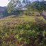  Land for sale in Liloan, Central Visayas, Liloan