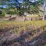  Land for sale in Liloan, Central Visayas, Liloan