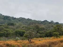  Terreno (Parcela) en venta en Juanacatlan, Jalisco, Juanacatlan
